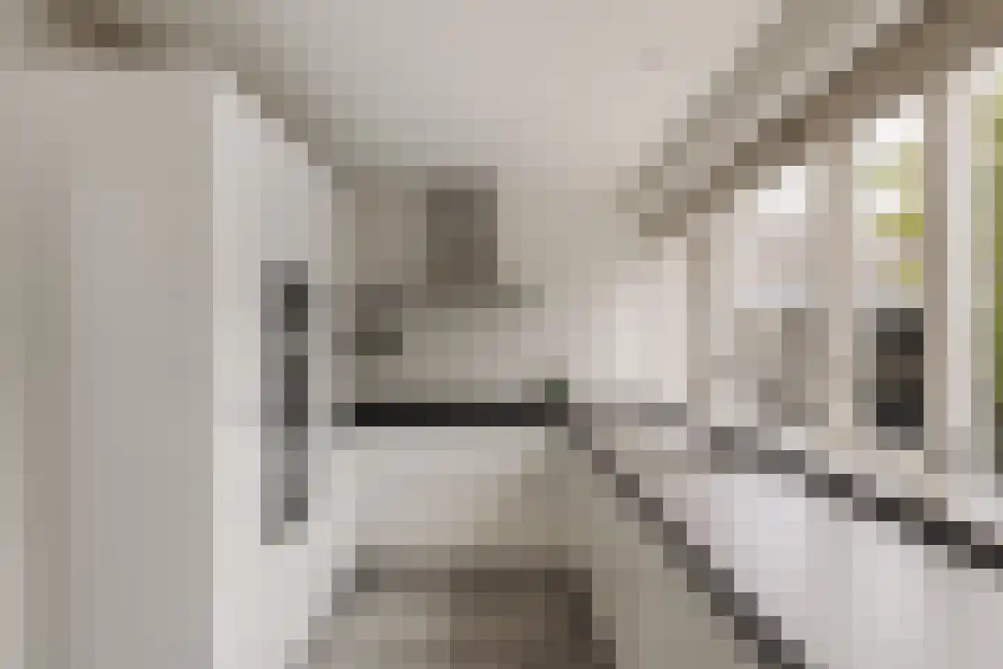 Lage Weidtje 8 Bergen (NH) thumbnail 17