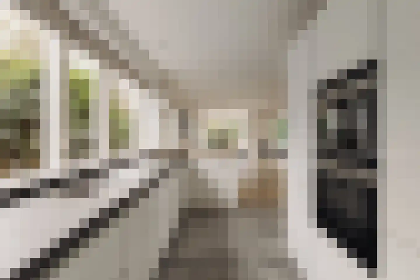 Lage Weidtje 8 Bergen (NH) thumbnail 18