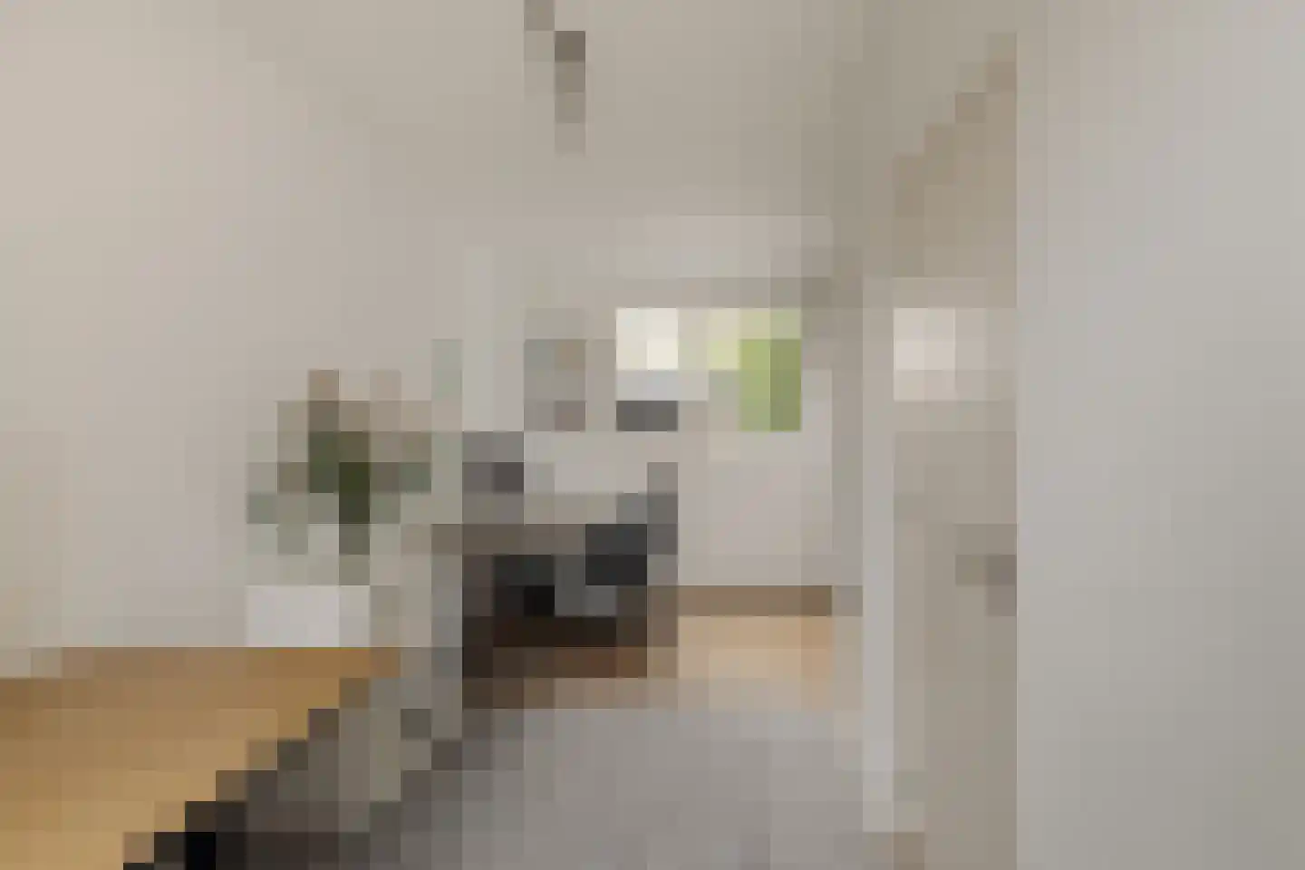Lage Weidtje 8 Bergen (NH) thumbnail 22
