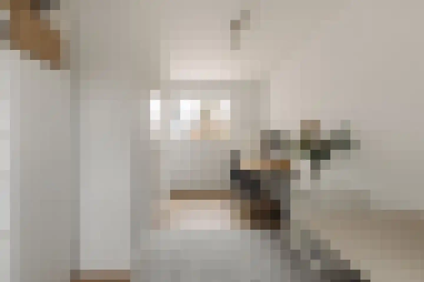 Lage Weidtje 8 Bergen (NH) thumbnail 25