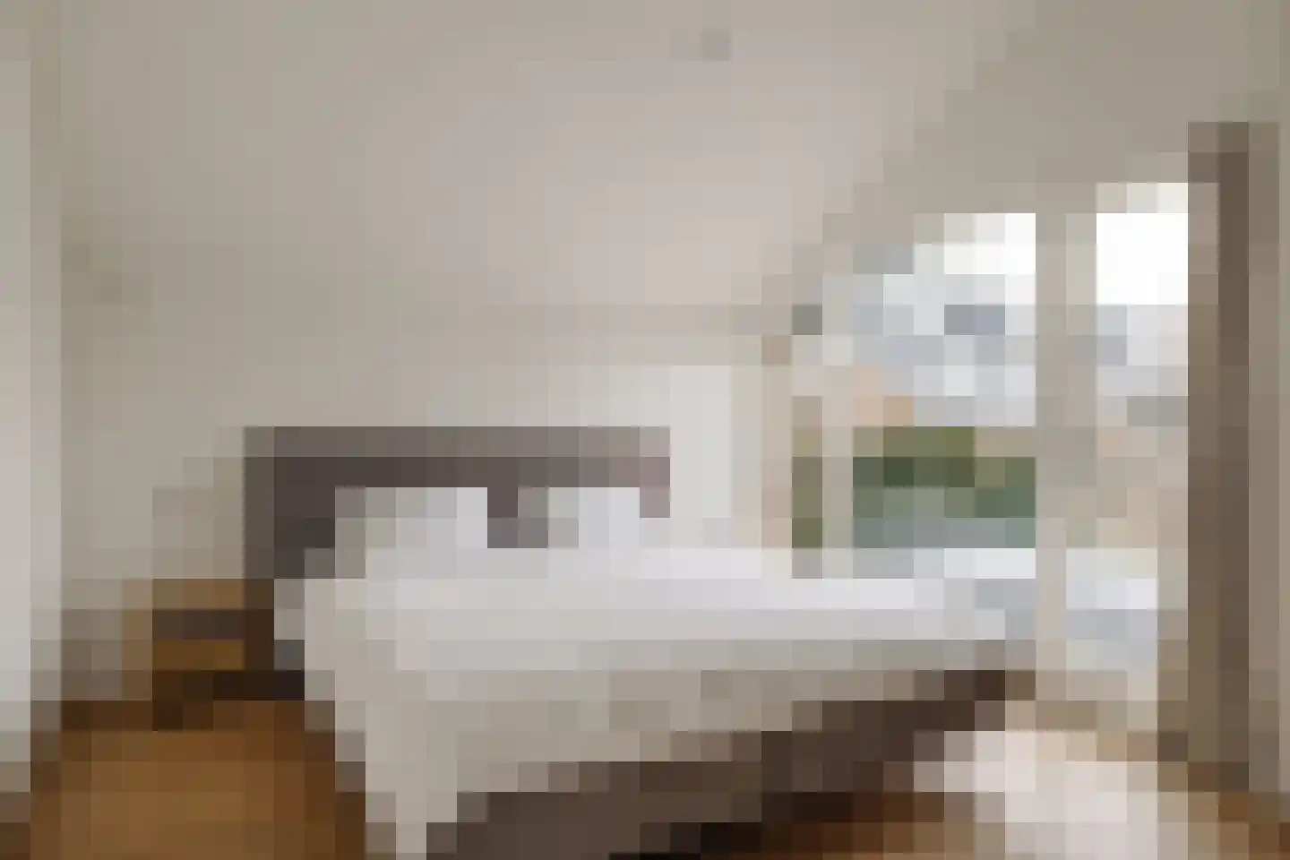Lage Weidtje 8 Bergen (NH) thumbnail 29