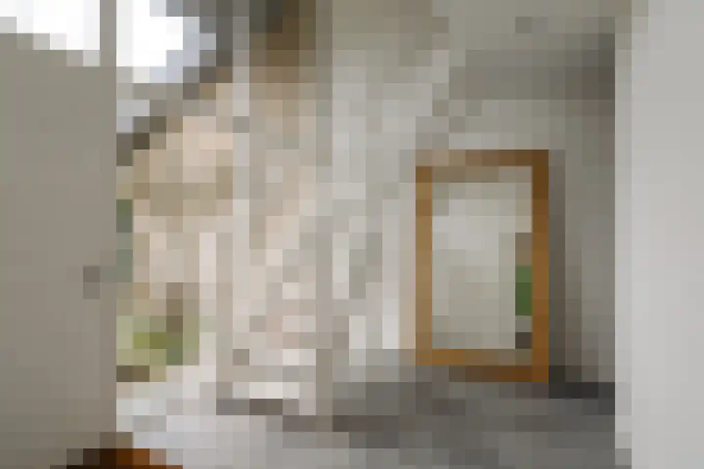 Lage Weidtje 8 Bergen (NH) thumbnail 4