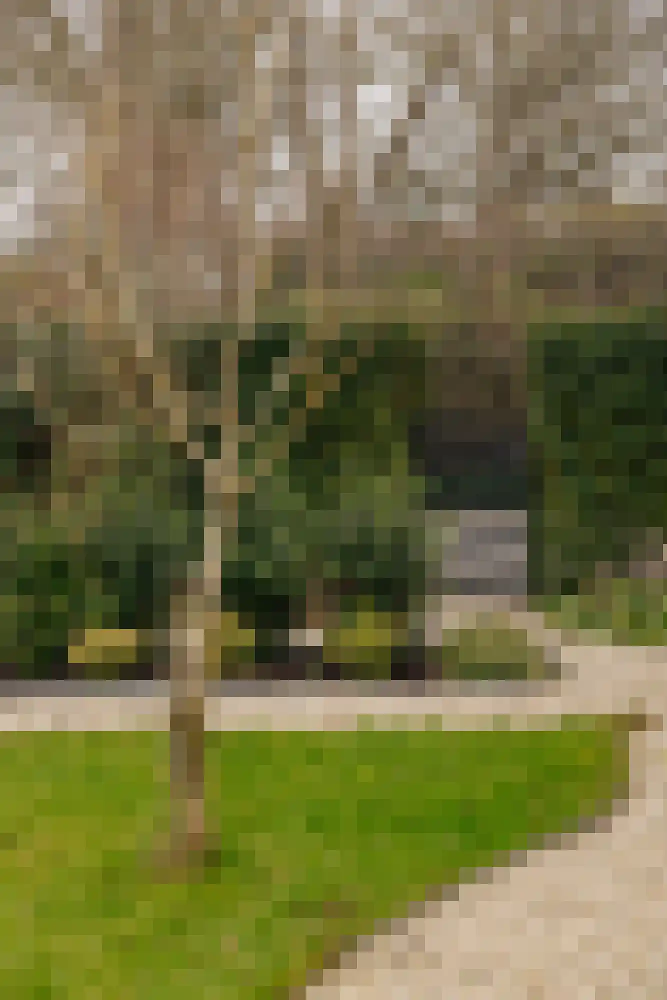 Lage Weidtje 8 Bergen (NH) thumbnail 48