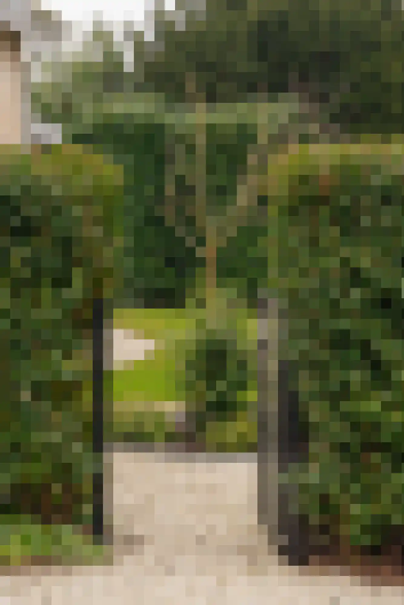 Lage Weidtje 8 Bergen (NH) thumbnail 49