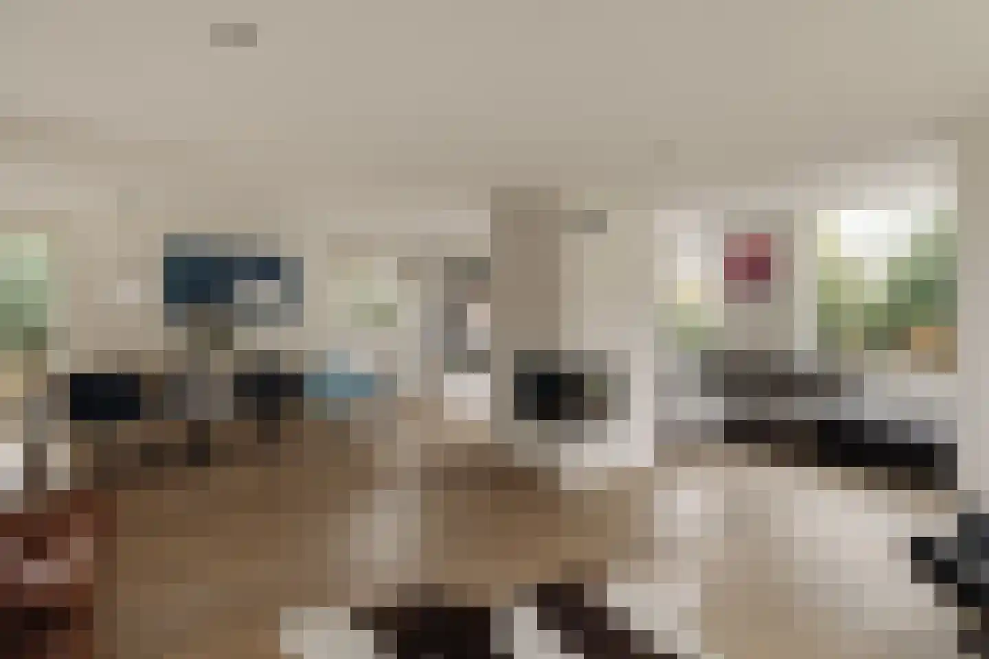 Lage Weidtje 8 Bergen (NH) thumbnail 5