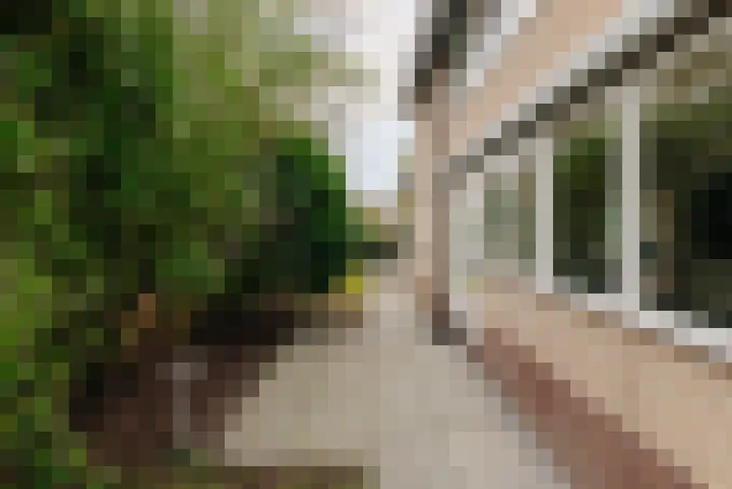 Lage Weidtje 8 Bergen (NH) thumbnail 51