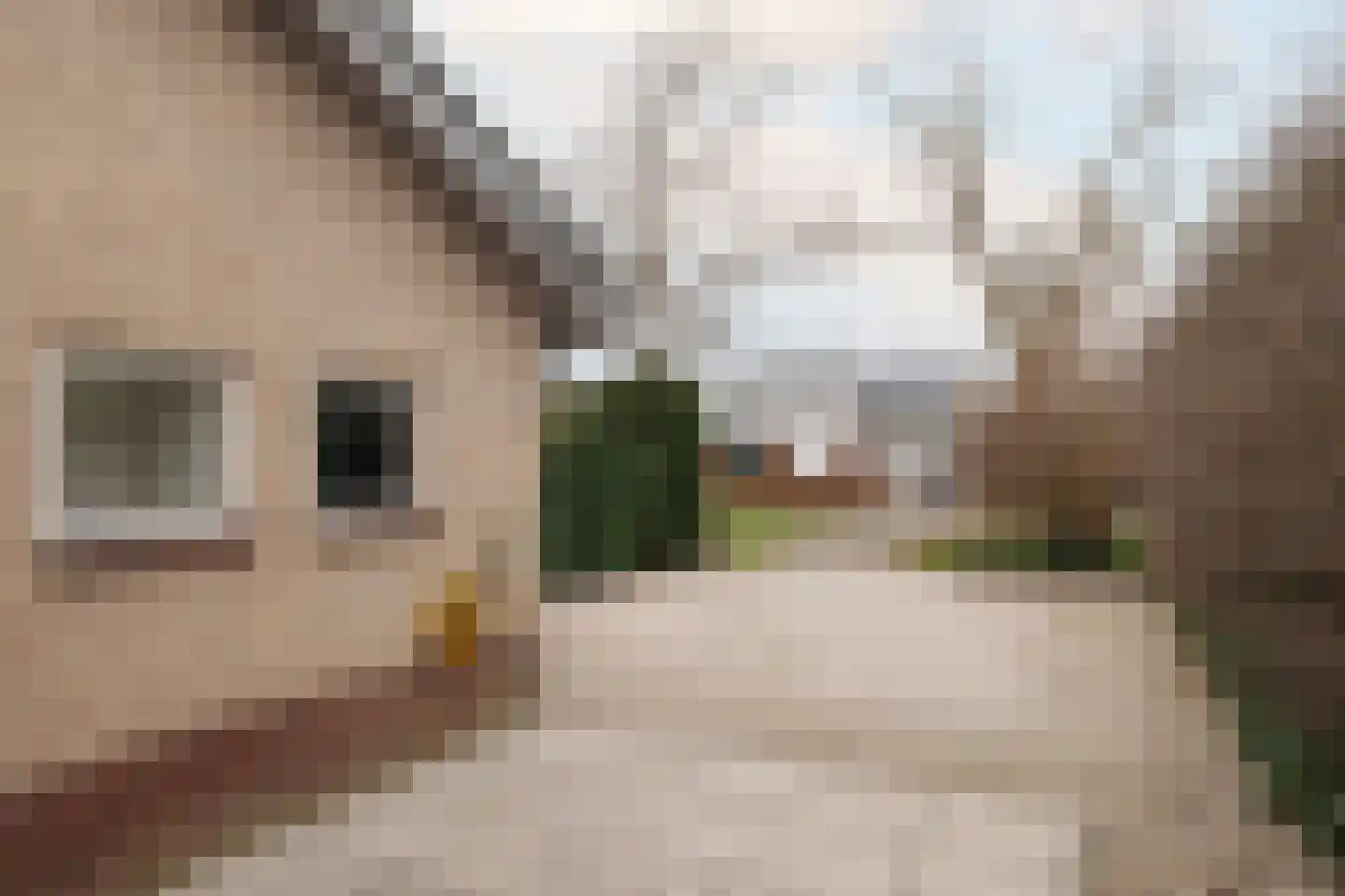 Lage Weidtje 8 Bergen (NH) thumbnail 53