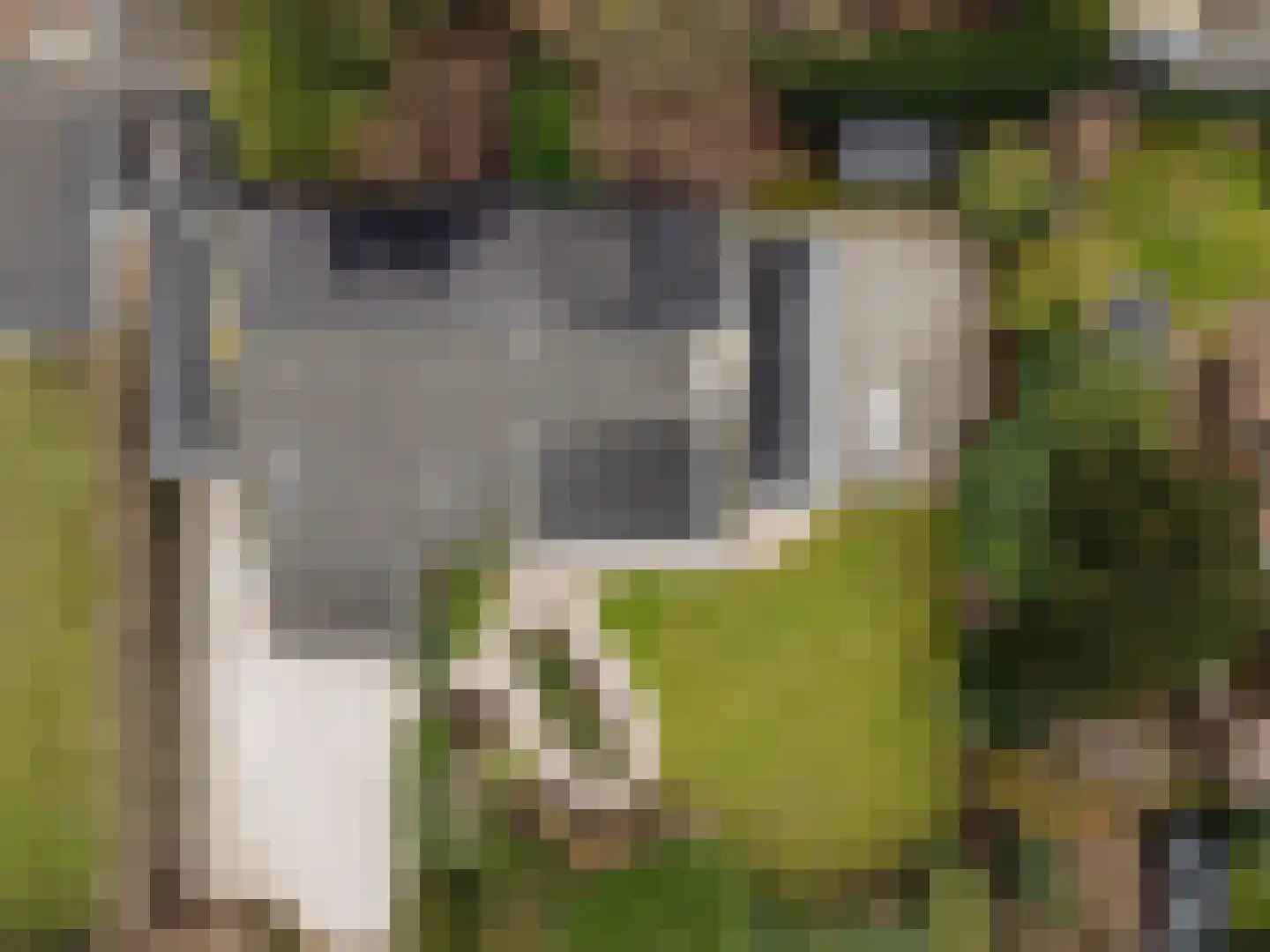 Lage Weidtje 8 Bergen (NH) thumbnail 58