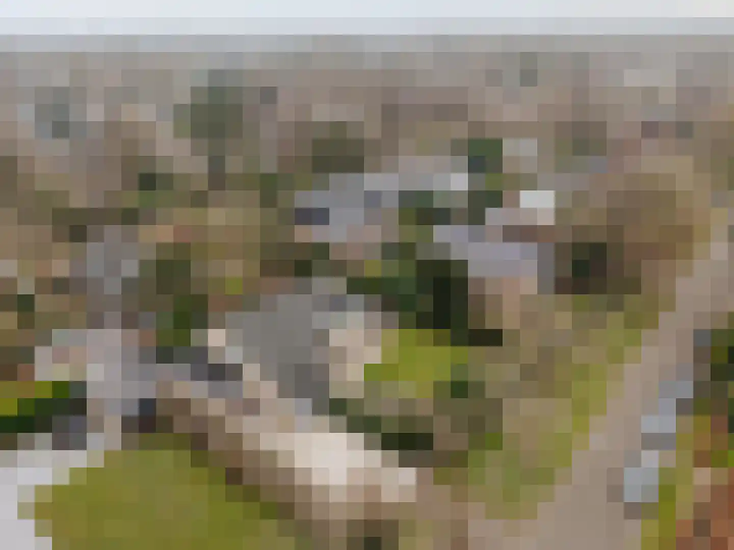 Lage Weidtje 8 Bergen (NH) thumbnail 59