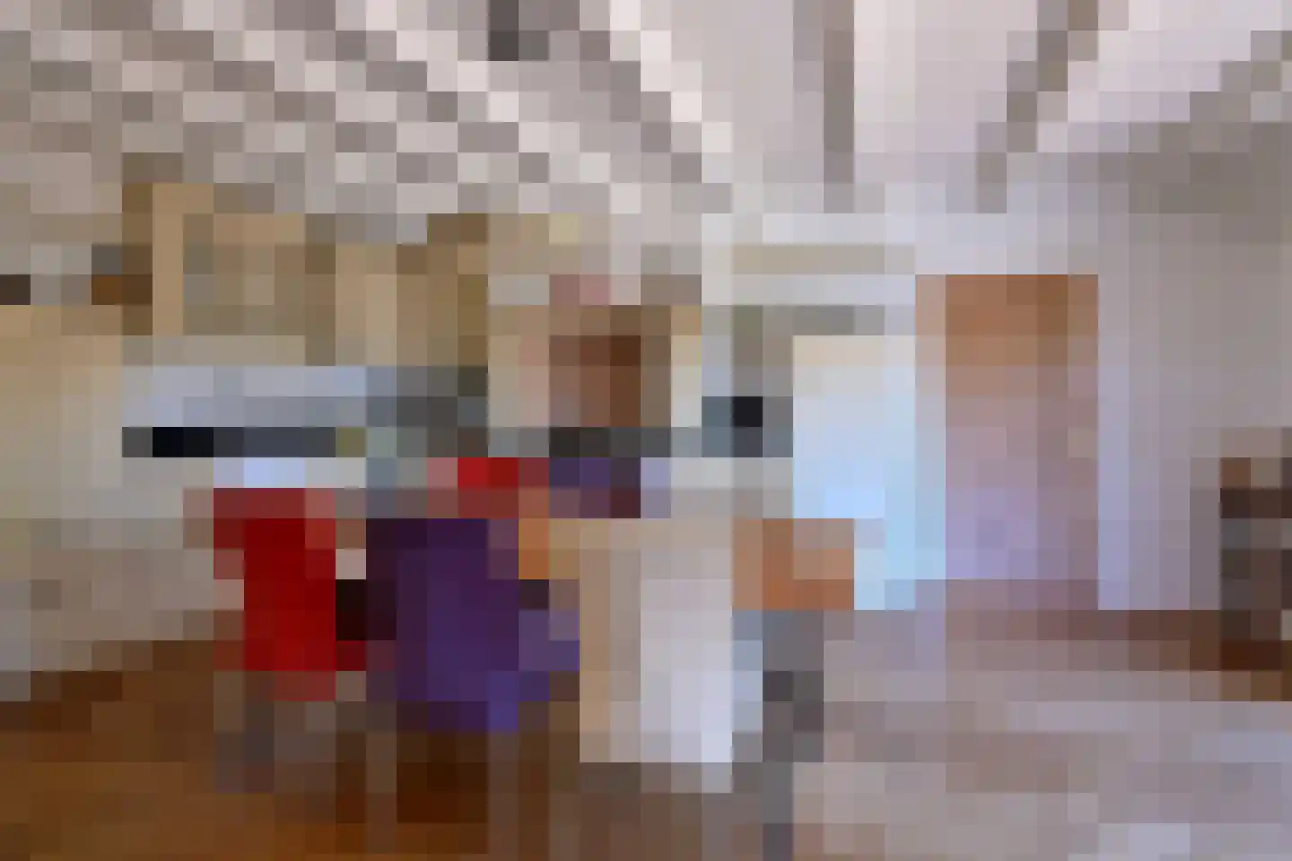 Lage Weteringsweg 15 Deventer thumbnail 15