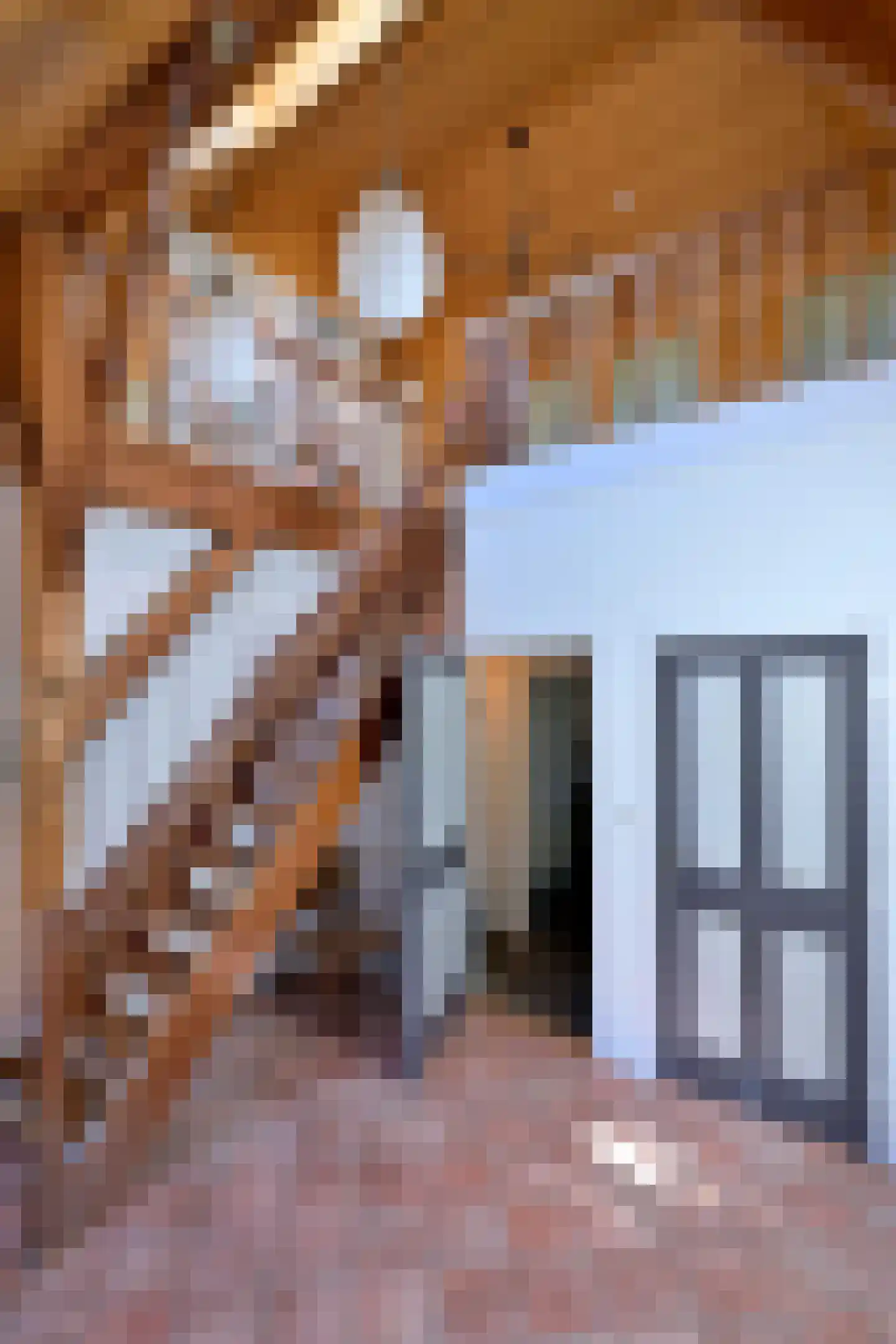 Lage Weteringsweg 15 Deventer thumbnail 17
