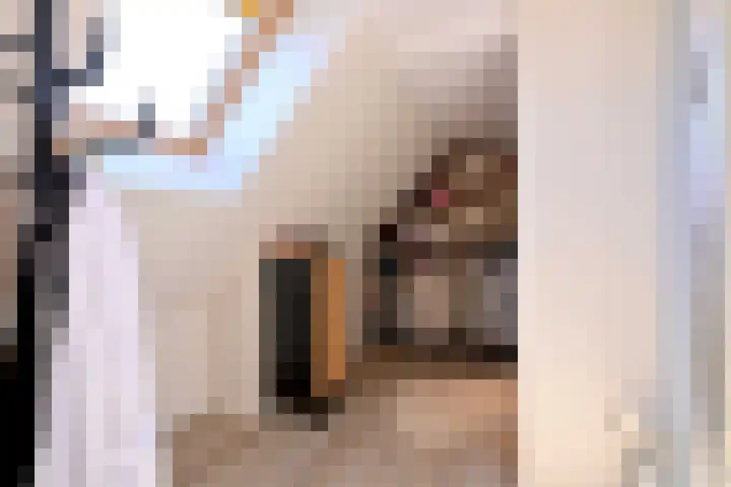 Lage Weteringsweg 15 Deventer thumbnail 26