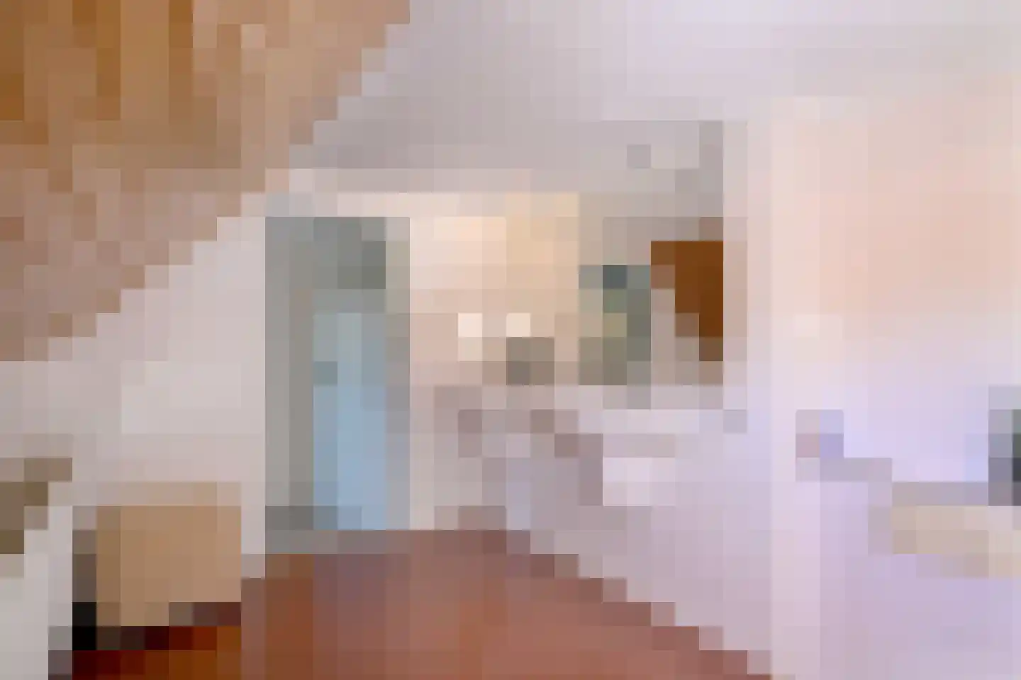 Lage Weteringsweg 15 Deventer thumbnail 31