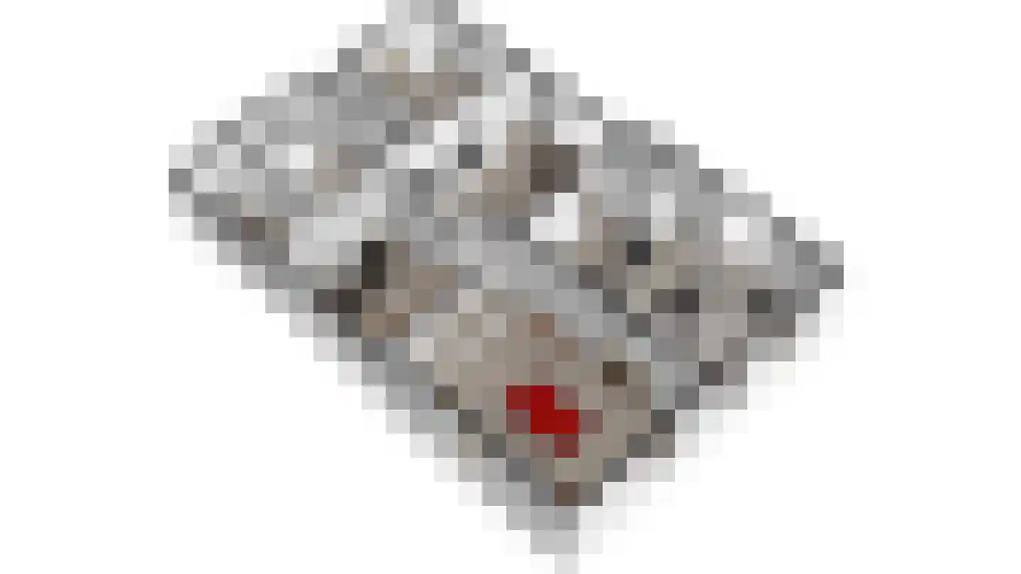 Lage Weteringsweg 15 Deventer thumbnail 68