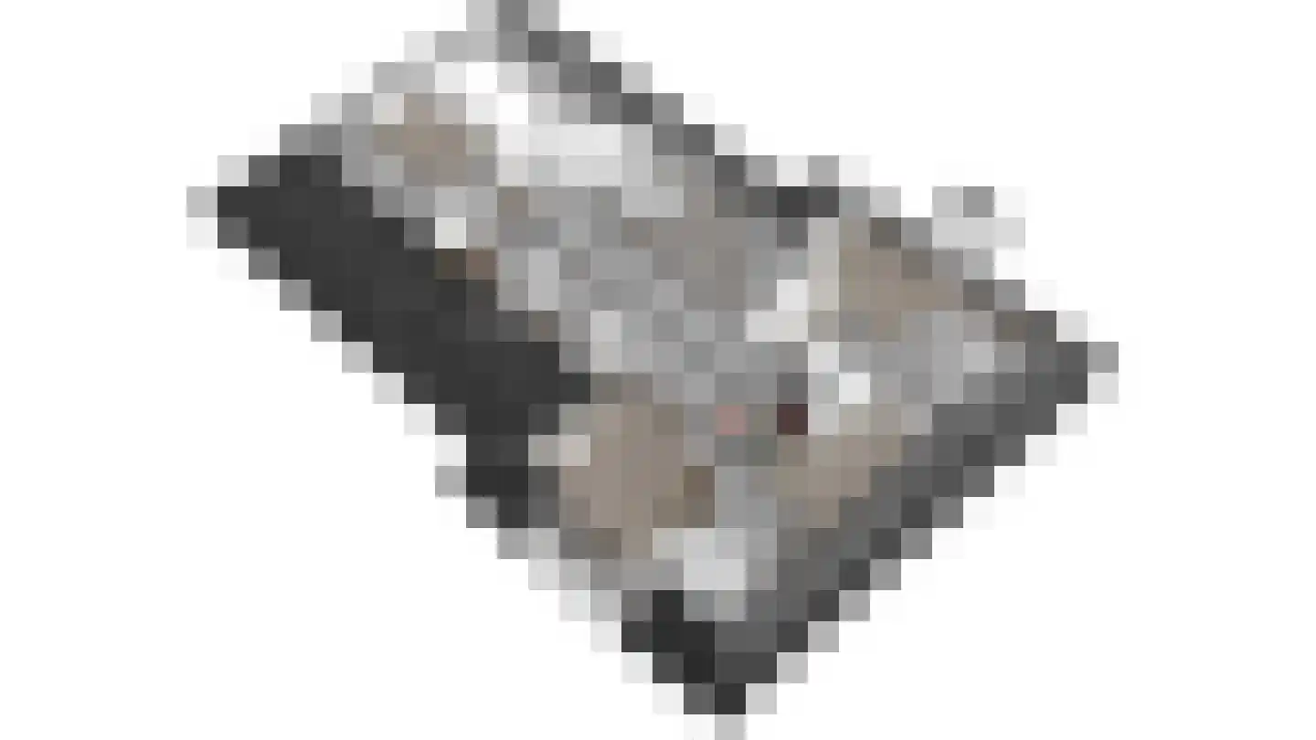Lage Weteringsweg 15 Deventer thumbnail 69