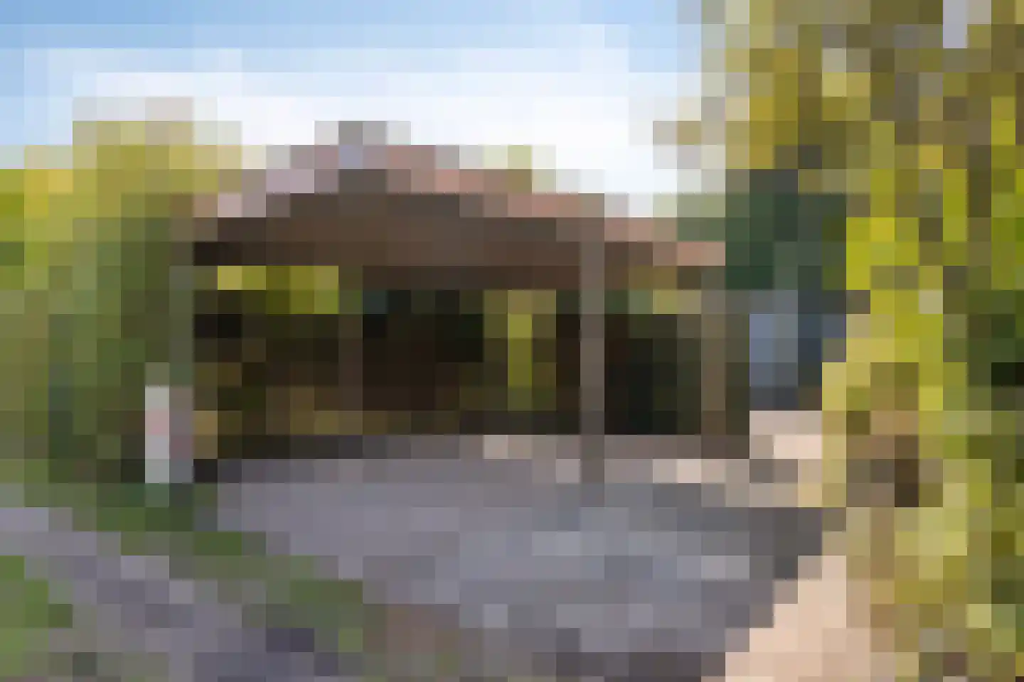 Lage Weteringsweg 5 Deventer thumbnail 30