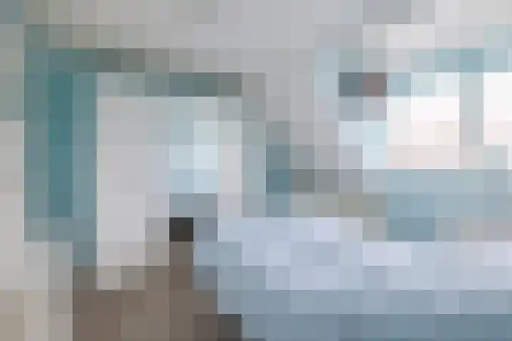 Lage Wipstraat 16 Zevenbergen thumbnail 13