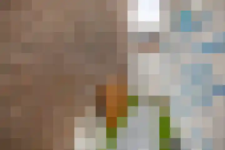Lage Wipstraat 16 Zevenbergen thumbnail 17