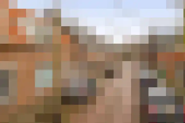 Lage Wipstraat 16 Zevenbergen thumbnail 6