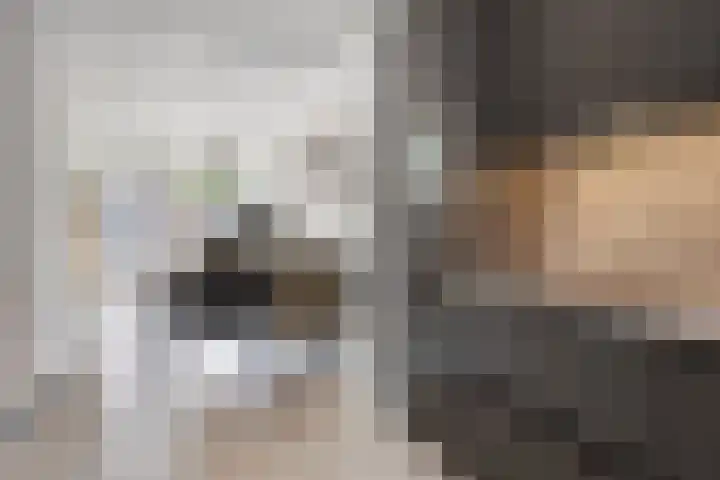 Lage Wipstraat 71 Zevenbergen thumbnail 12