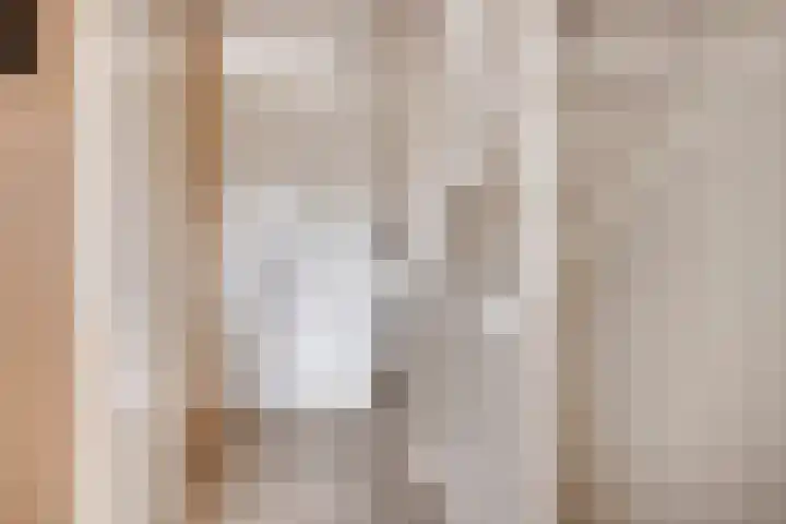 Lage Wipstraat 71 Zevenbergen thumbnail 13