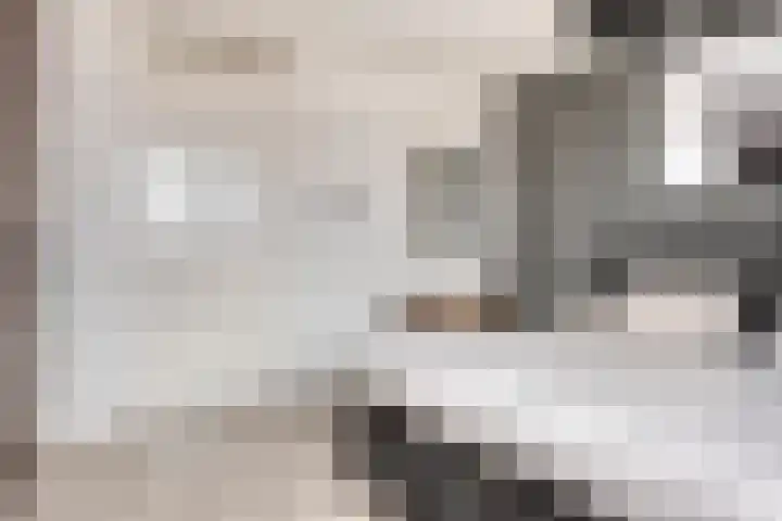 Lage Wipstraat 71 Zevenbergen thumbnail 15