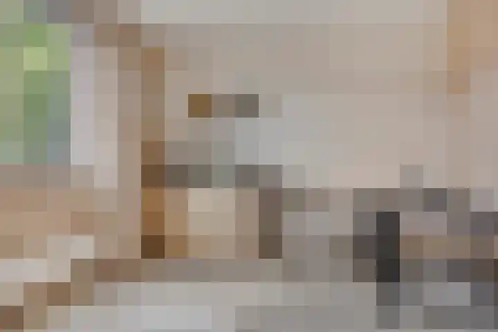 Lage Wipstraat 71 Zevenbergen thumbnail 17