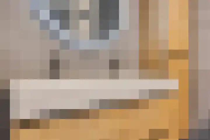 Lage Wipstraat 71 Zevenbergen thumbnail 19