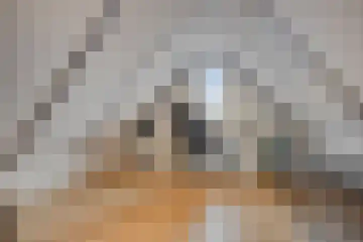 Lage Wipstraat 71 Zevenbergen thumbnail 20