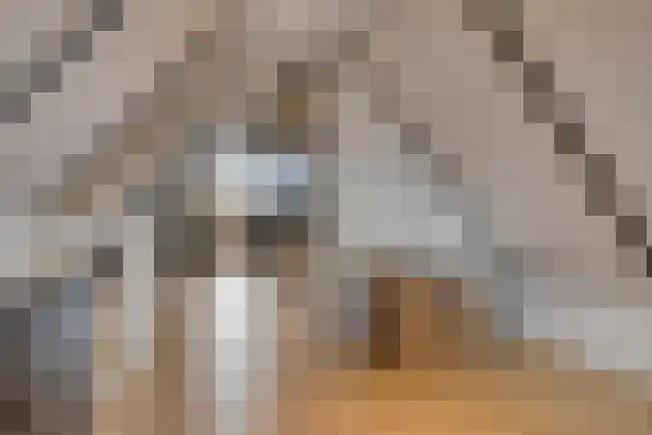 Lage Wipstraat 71 Zevenbergen thumbnail 21