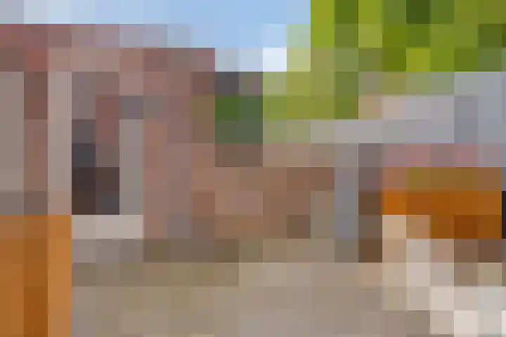 Lage Wipstraat 71 Zevenbergen thumbnail 24