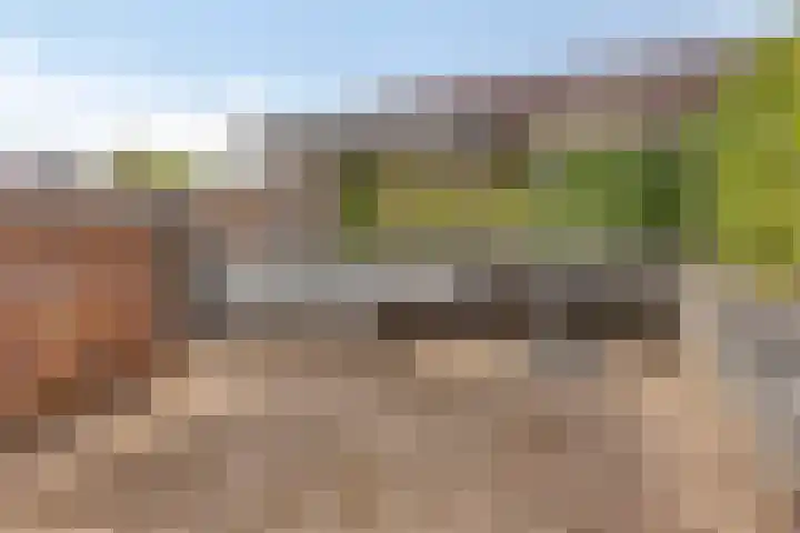 Lage Wipstraat 71 Zevenbergen thumbnail 4