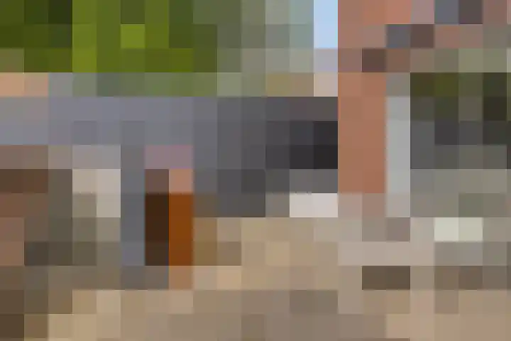 Lage Wipstraat 71 Zevenbergen thumbnail 5