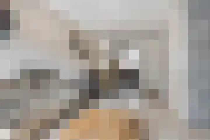 Lage Wipstraat 71 Zevenbergen thumbnail 7