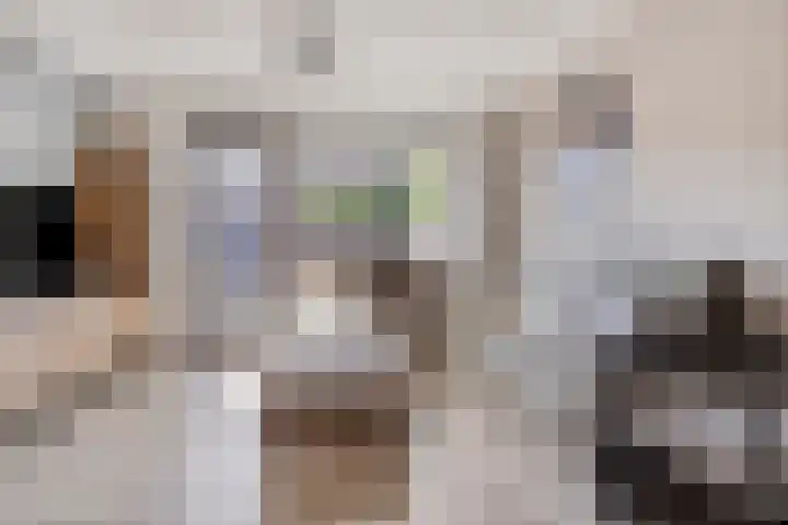 Lage Wipstraat 71 Zevenbergen thumbnail 8