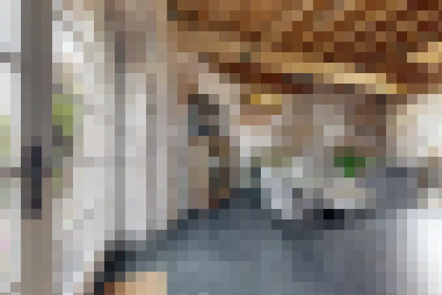 Lage Wipstraat 80 Zevenbergen thumbnail 10