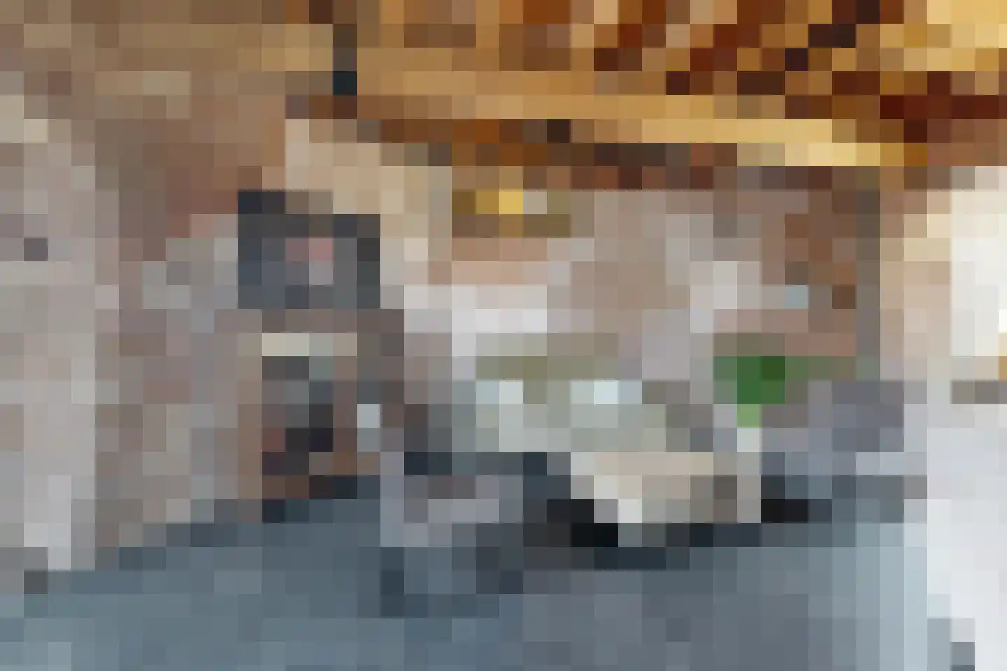 Lage Wipstraat 80 Zevenbergen thumbnail 11