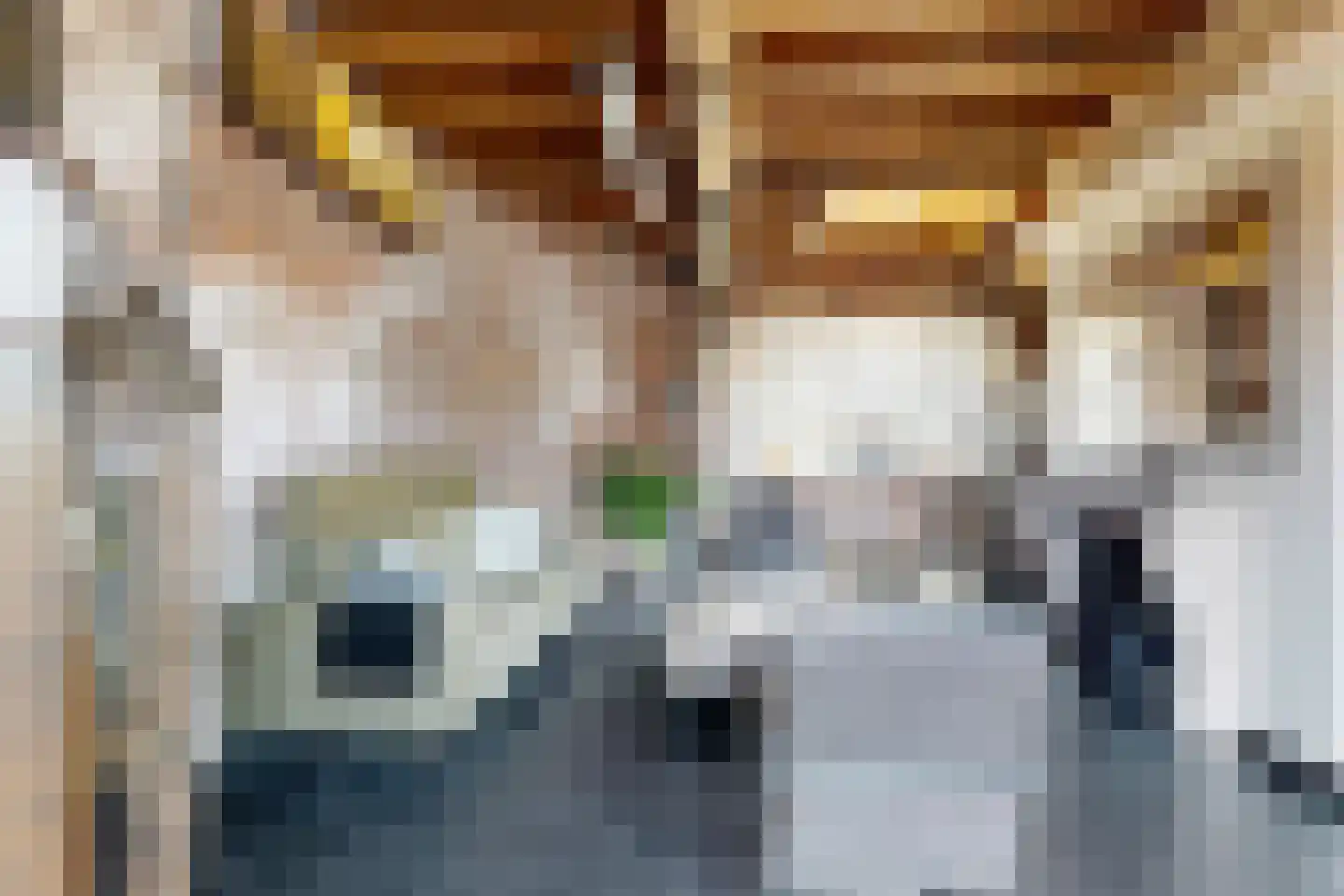 Lage Wipstraat 80 Zevenbergen thumbnail 13
