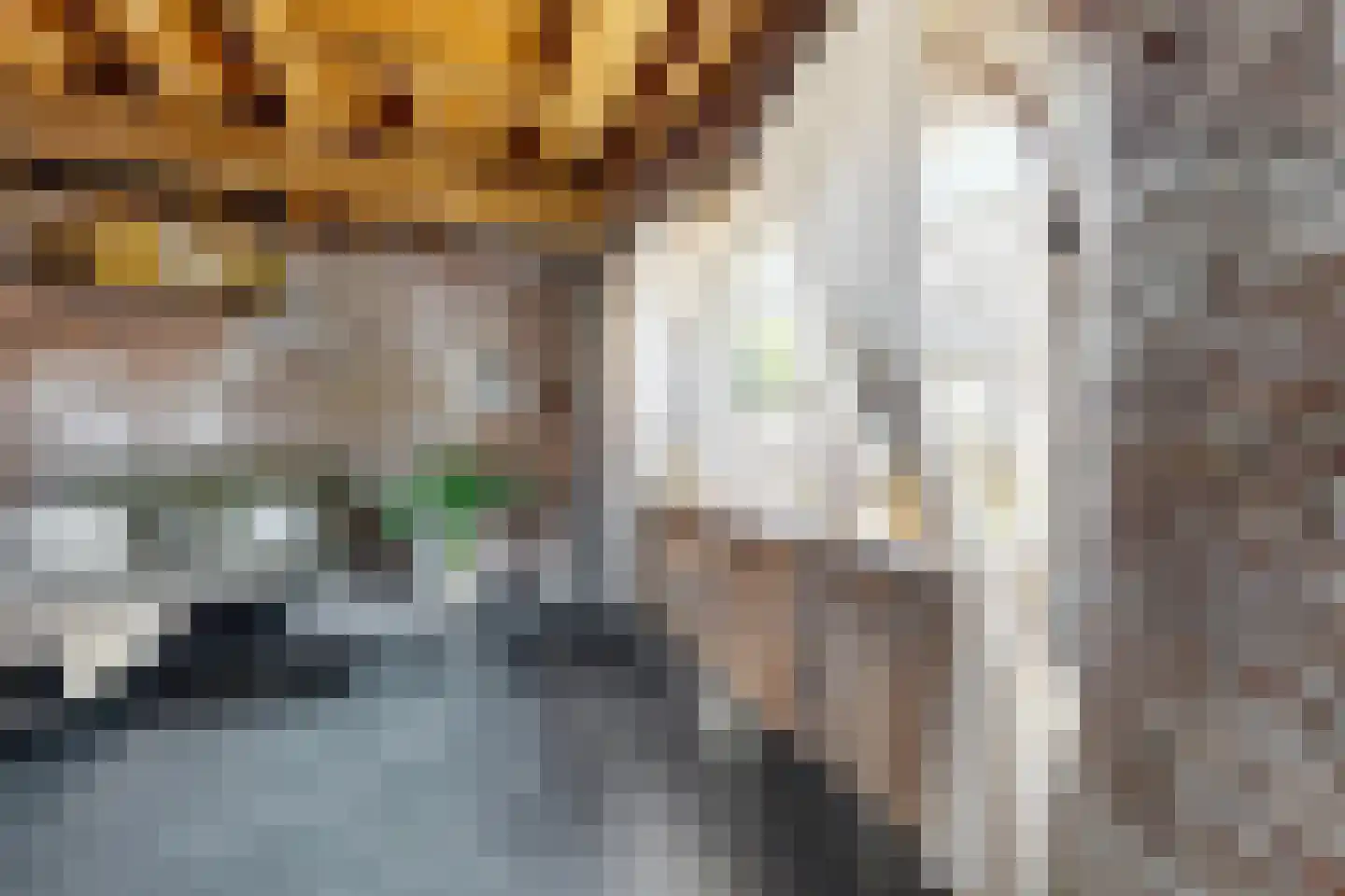 Lage Wipstraat 80 Zevenbergen thumbnail 14