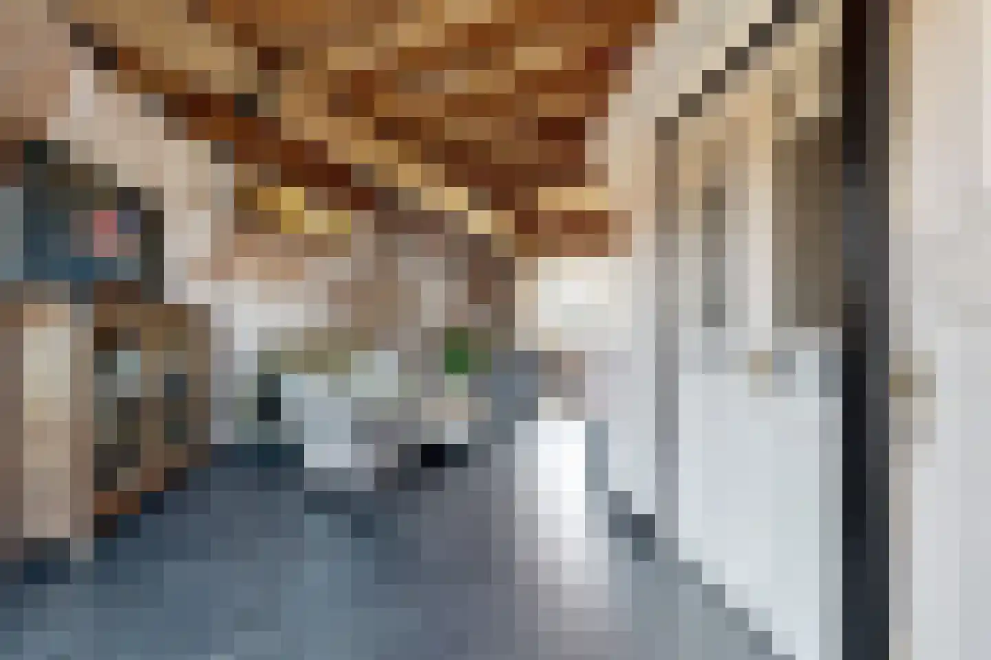 Lage Wipstraat 80 Zevenbergen thumbnail 15