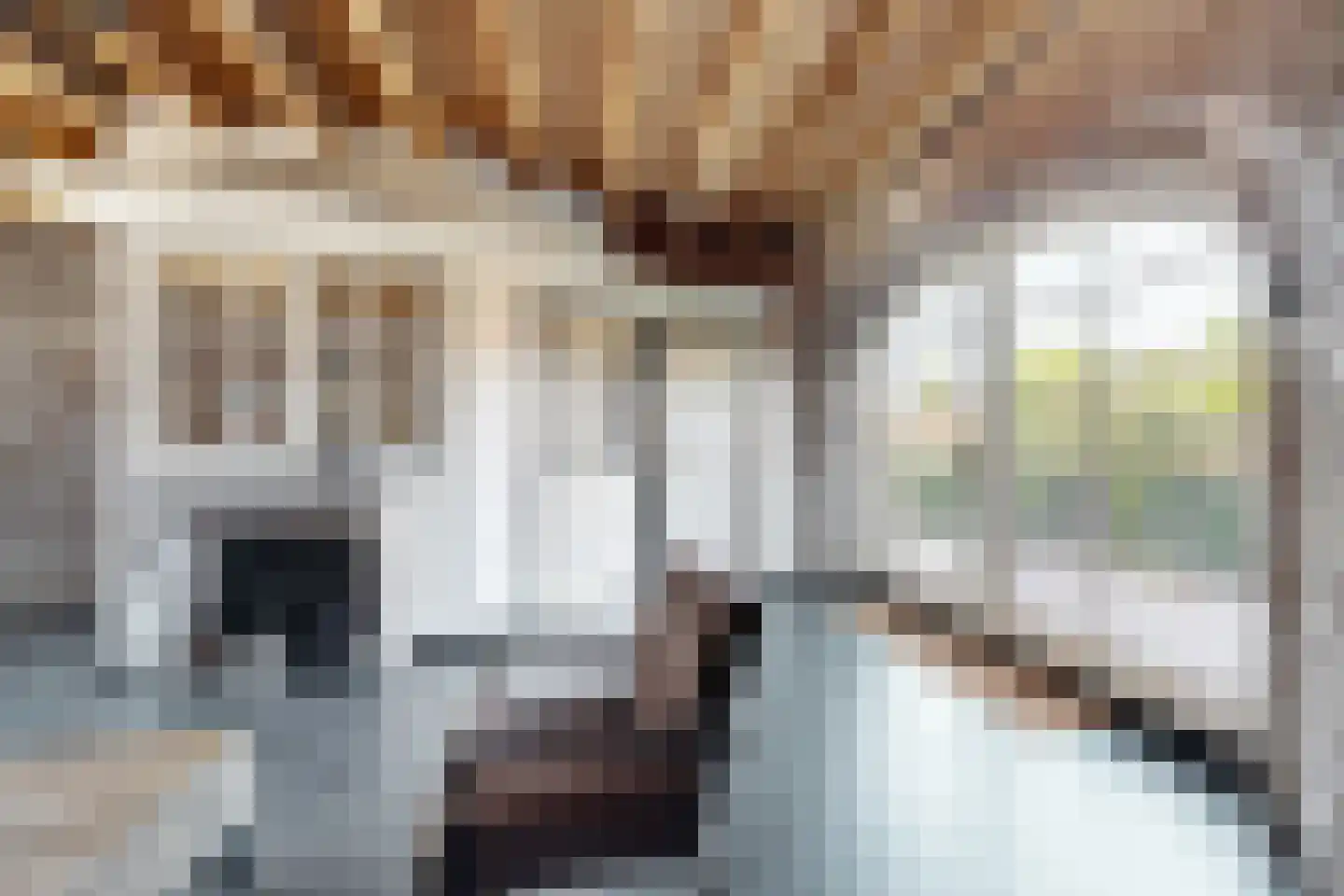 Lage Wipstraat 80 Zevenbergen thumbnail 16