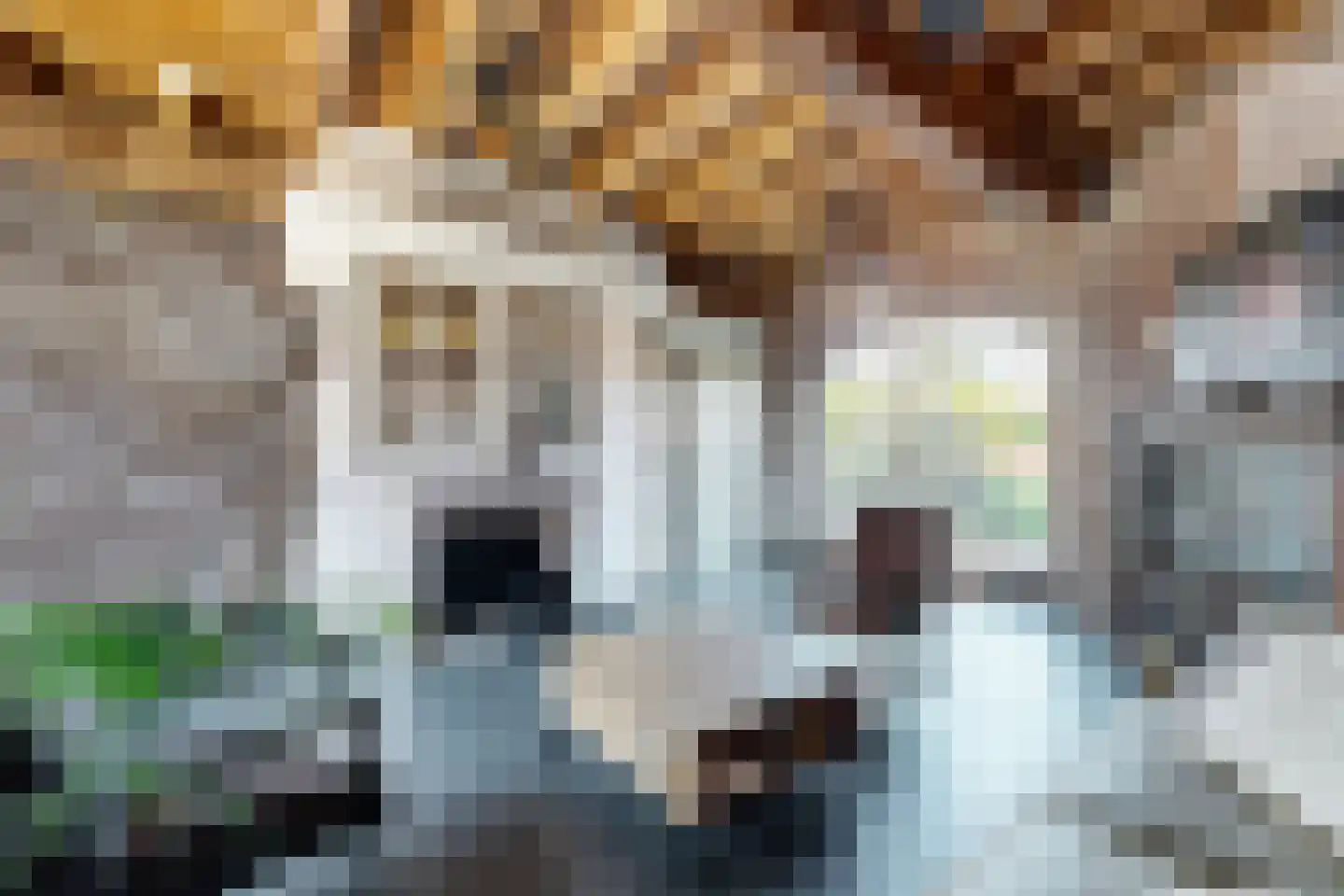 Lage Wipstraat 80 Zevenbergen thumbnail 17