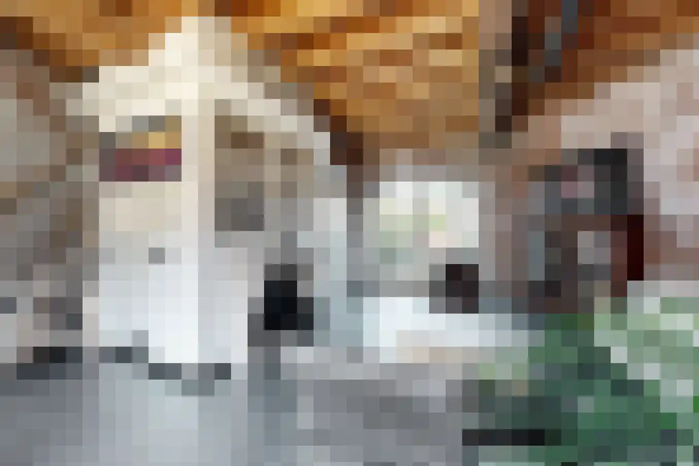 Lage Wipstraat 80 Zevenbergen thumbnail 18