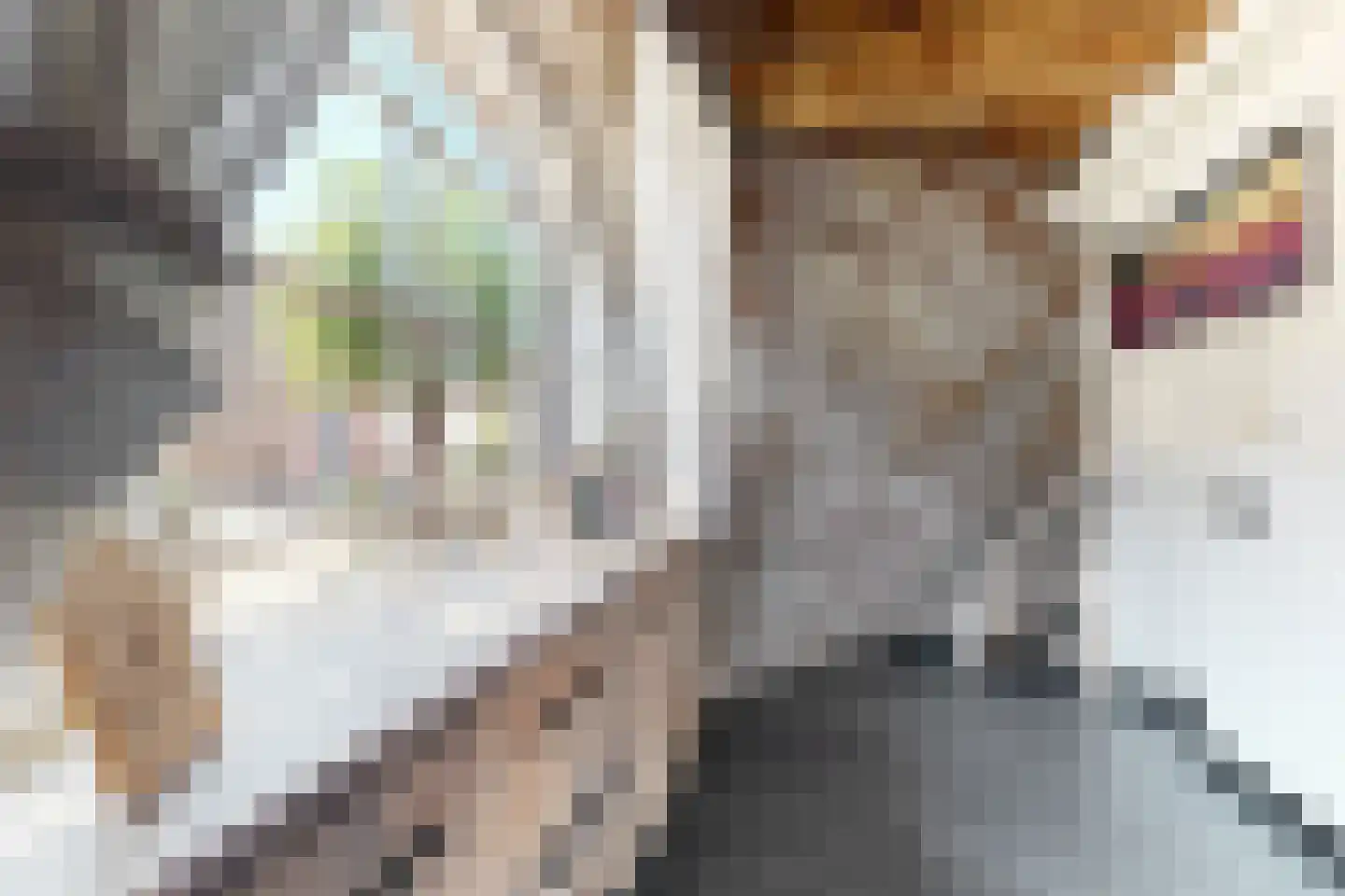 Lage Wipstraat 80 Zevenbergen thumbnail 19