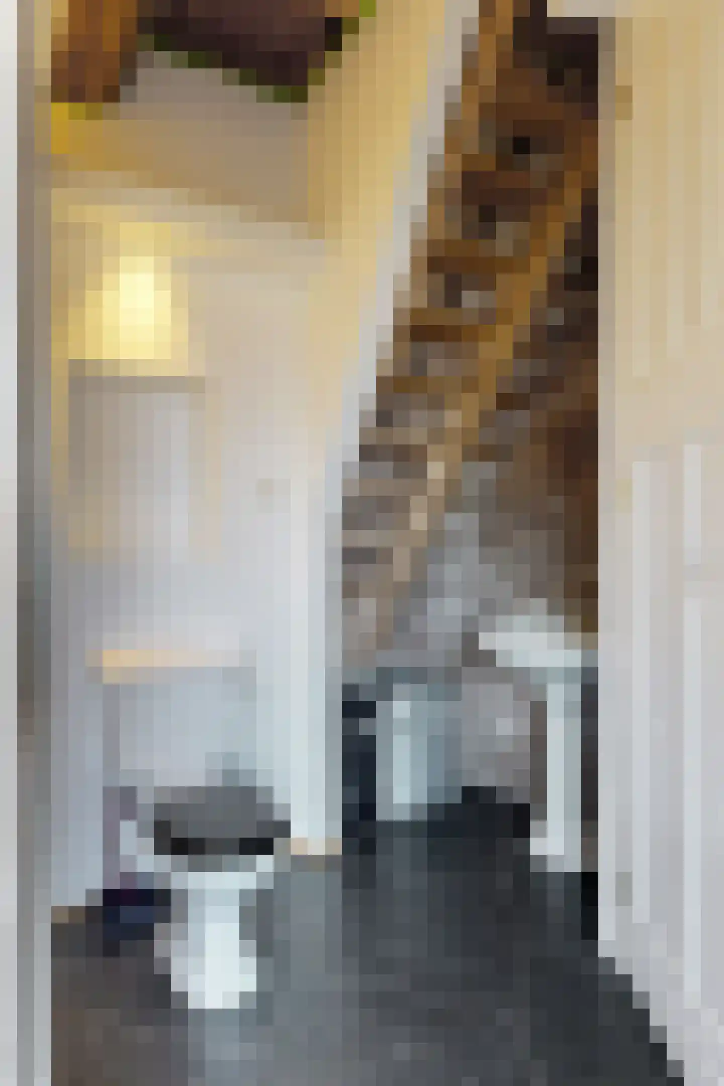 Lage Wipstraat 80 Zevenbergen thumbnail 20