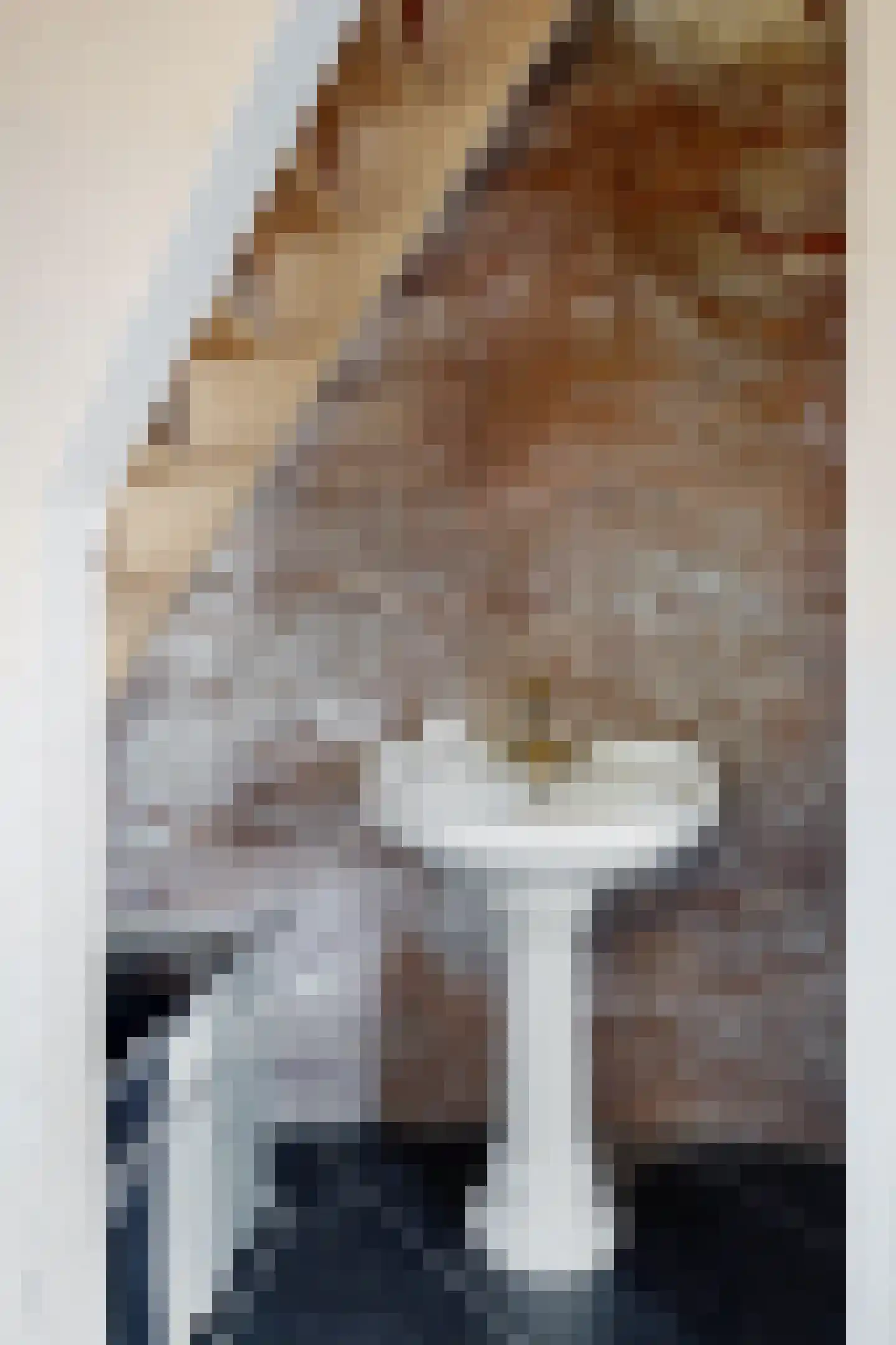 Lage Wipstraat 80 Zevenbergen thumbnail 21