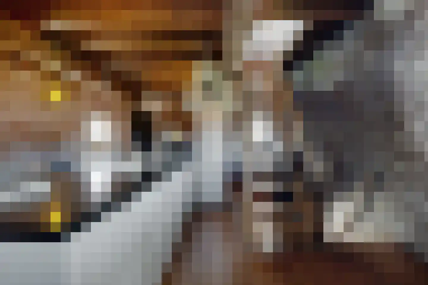 Lage Wipstraat 80 Zevenbergen thumbnail 22