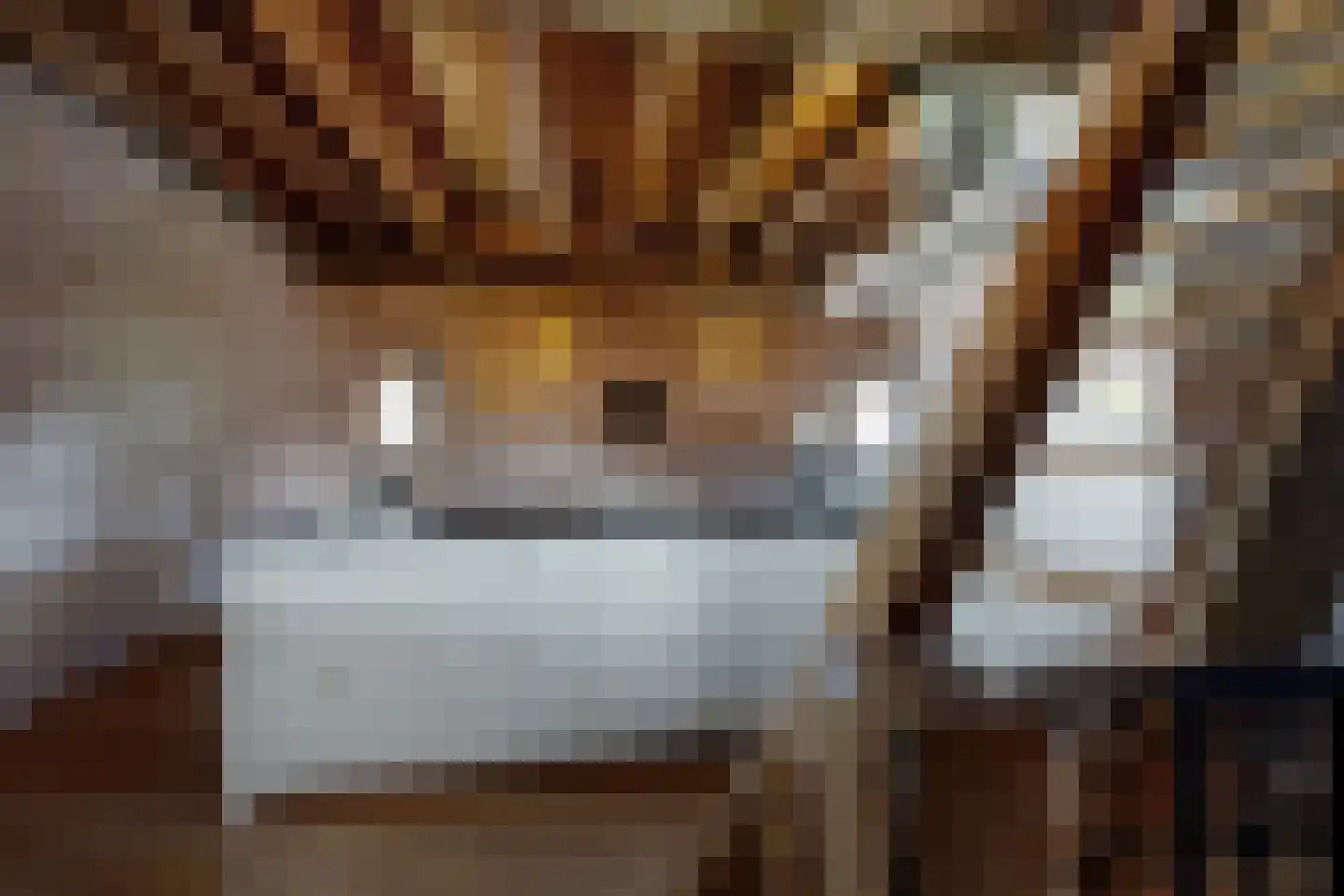 Lage Wipstraat 80 Zevenbergen thumbnail 23