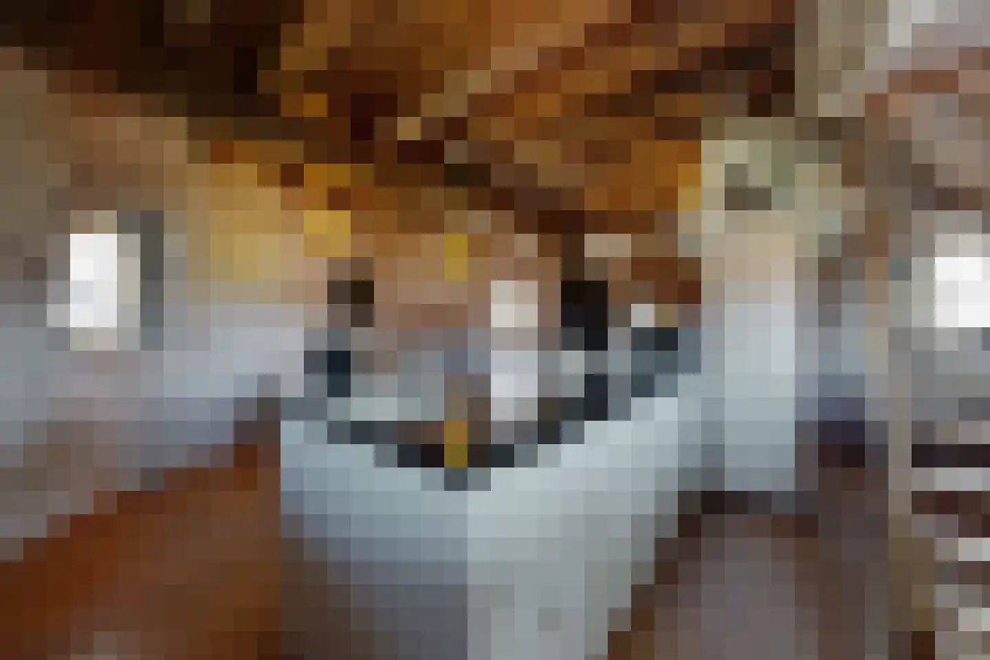 Lage Wipstraat 80 Zevenbergen thumbnail 24