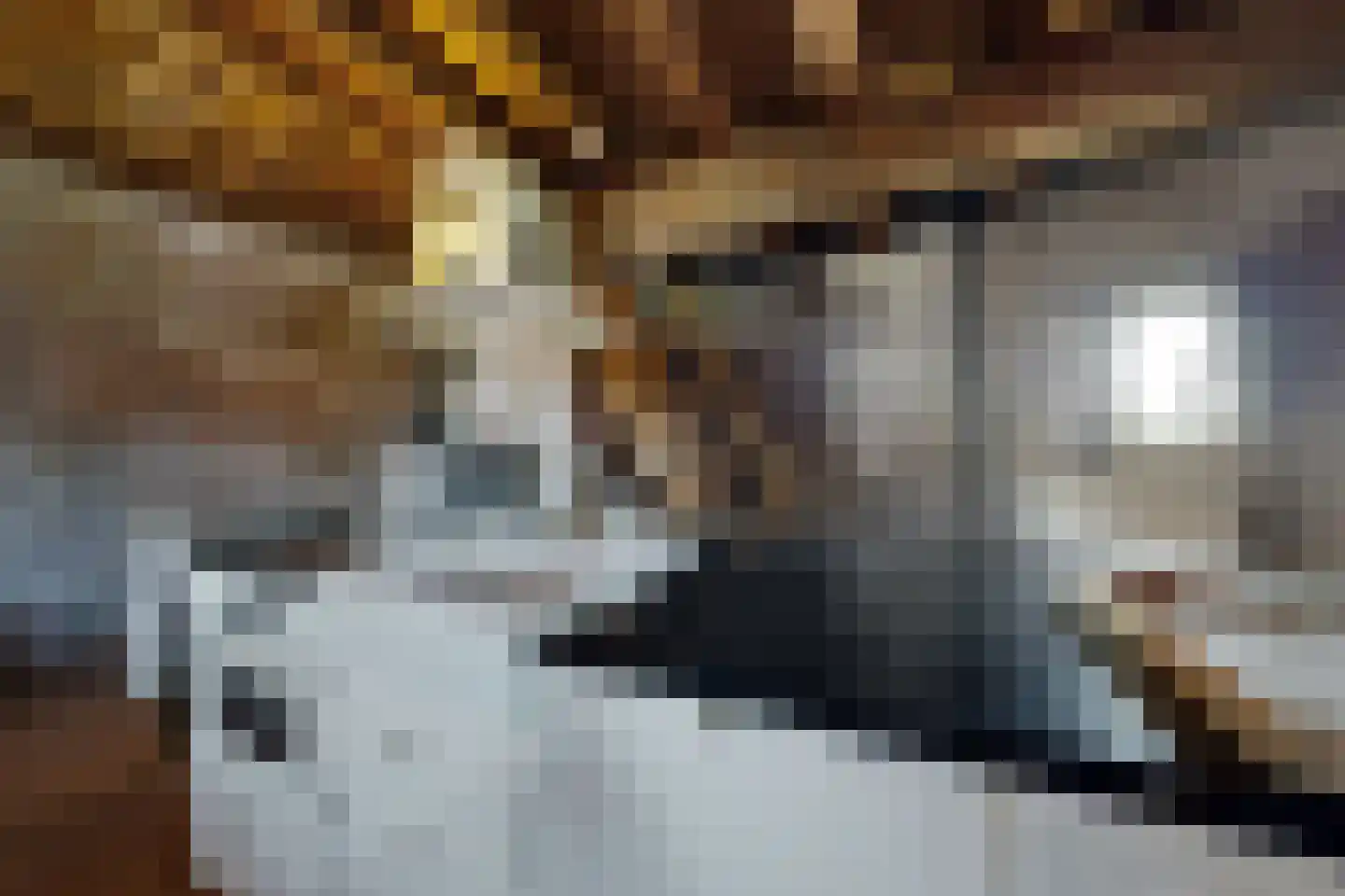 Lage Wipstraat 80 Zevenbergen thumbnail 26